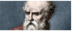 Vitruvius.png