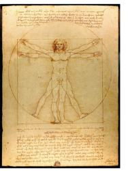 Vitruvius De Gulden Snede.png