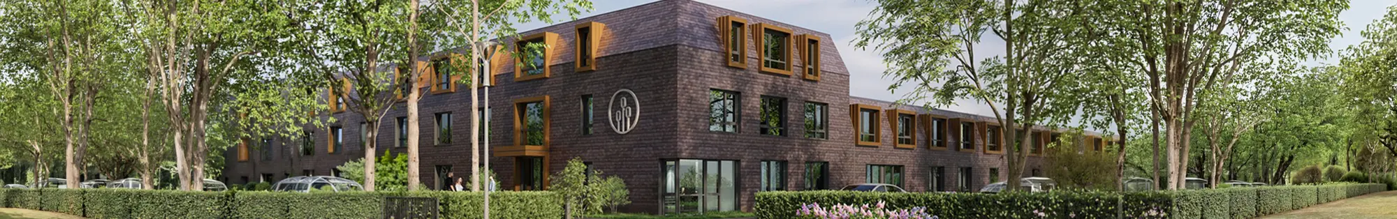Bekijk afbeelding  Solvane I als vergroting